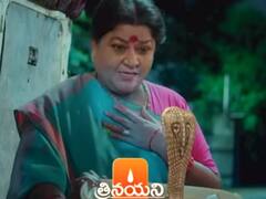 Trinayani September 19th Episode: బిడ్డ పుట్టుకవెనుక గుట్టువిప్పిన పెద్దబొట్టమ్మ - పాముని గదిలో పెట్టి తాళం వేసిన సుమన!