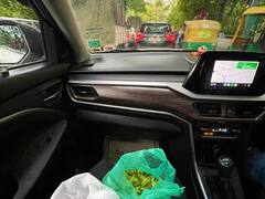 वक्त का सही इस्तेमाल करना कोई इनसे सीखे! घंटों ट्रैफिक में फंसी रही कार, महिला ने बैठे-बैठे छील डाली मटर- Viral Photo