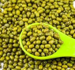 Health News: ਸਰੀਰ ਲਈ ਬਹੁਤ ਫਾਇਦੇਮੰਦ ਹਰੀ ਮੂੰਗੀ...ਜਾਣੋ ਇਸ ਦੇ ਗੁਣਕਾਰੀ ਫਾਇਦੇ