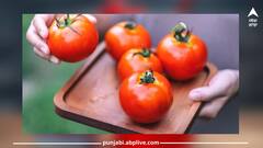 Health News: ਟਮਾਟਰ ਖਾਣ ਨਾਲ ਘੱਟ ਹੋ ਸਕਦੈ ਪੁਰਸ਼ਾਂ ਵਿੱਚ ਪ੍ਰੋਸਟੇਟ ਕੈਂਸਰ ਦਾ ਖ਼ਤਰਾ