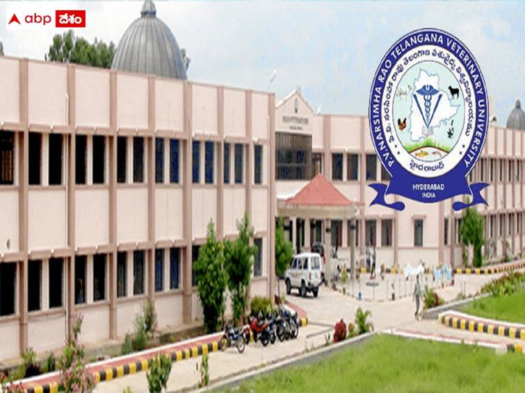 P.V.Narsimha Rao Telangana Veterinary University has released notification for the recruitment of Faculty Posts PVNRTVU: తెలంగాణ వెటర్నరీ వర్సిటీలో 84 ఫ్యాకల్టీ పోస్టులు, వివరాలు ఇలా