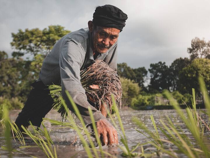 How to get profit of PM Kisan Samman Nidhi Scheme know important conditions क्या आपको भी चाहिए हर साल 6000 रुपये? तो जानिए इसके लिए किन-किन शर्तों को पूरा करना होगा