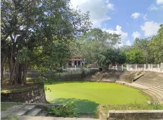 Gurugram: ਜੰਗਲਾਤ ਵਿਭਾਗ ਦਾ ਅਨੋਖਾ ਫੈਸਲਾ, 75 ਸਾਲ ਪੁਰਾਣੇ ਰੁੱਖਾਂ ਨੂੰ ਮਿਲੇਗੀ ਪੈਨਸ਼ਨ, ਜਾਣੋ ਕਿੰਨੀ ਰਾਸ਼ੀ ਮਿਲੇਗੀ?