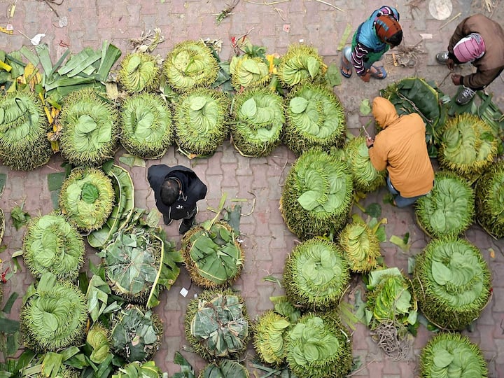 Benefits of Betel Leaves :  પાન ખાવું એ ભારતીય સંસ્કૃતિનો એક ભાગ છે. જમ્યા પછી, આપણામાંના મોટાભાગના લોકો મીઠા, સાદા કે મસાલેદાર પાનનો આનંદ માણે છે. આ પ્રકારનું પાન આપણે શોખ તરીકે ખાઈએ છીએ.