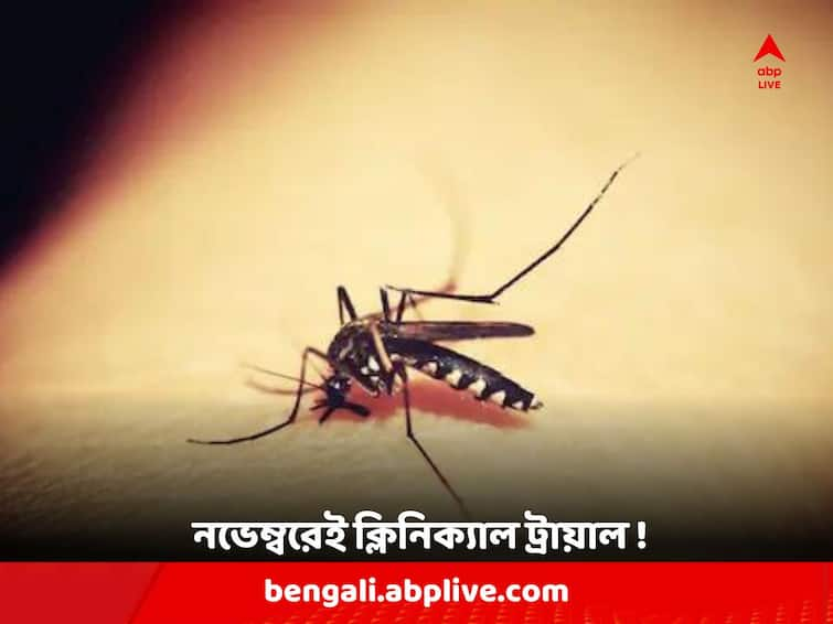 Clinical Trial of Dengue Vaccines to be started from November in India Dengue Vaccines: অবশেষে আসতে চলেছে বহু প্রতীক্ষিত ডেঙ্গি ভ্যাকসিন, নভেম্বরই দেশজুড়ে চূড়ান্ত পর্যায়ের ক্লিনিক্যাল ট্রায়াল !