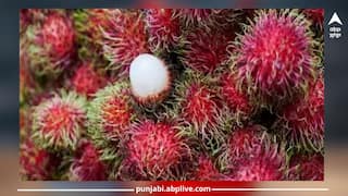 Rambutan Fruit :ਕੀ ਹੈ ਰਾਮਬੂਟਨ ਫਲ, ਨਿਪਾਹ ਵਾਇਰਸ ਨਾਲ ਇਸ ਦਾ ਕੀ ਸਬੰਧ, ਕਿਉਂ ਹੋ ਰਹੀ ਇਸ ਦੀ ਚਰਚਾ