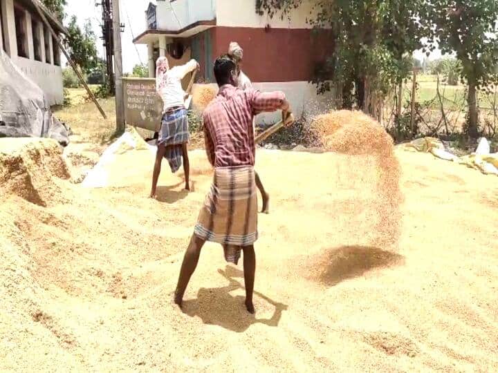 Thiruvannamalai news Notice to farmers not to bring paddy bundles to polur Committee without token TNN விவசாயிகளுக்கு முக்கிய அறிவிப்பு; டோக்கன் இல்லாமல் நெல் மூட்டைகளை போளூர் கமிட்டிக்கு கொண்டு வராதீர்கள்