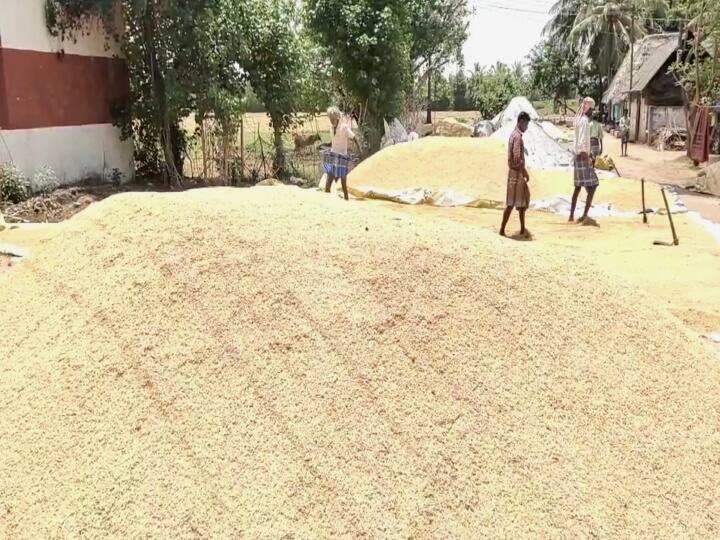 விவசாயிகளுக்கு முக்கிய அறிவிப்பு; டோக்கன் இல்லாமல் நெல் மூட்டைகளை போளூர் கமிட்டிக்கு கொண்டு வராதீர்கள்