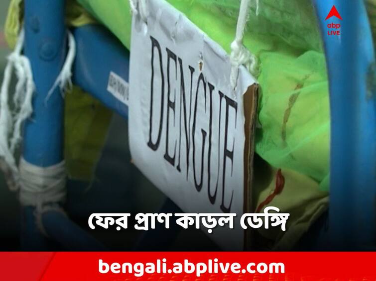 North 24 Parganas, A school girl from South Dumdum died of dengue in a hospital Dengue Death: স্কুলছাত্রীর প্রাণ কাড়ল ডেঙ্গি, ফের দক্ষিণ দমদম