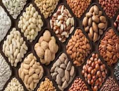 Dry fruits: ਜੇਕਰ ਤੁਸੀਂ ਵੀ ਲੋੜ ਤੋਂ ਵੱਧ ਖਾਂਦੇ ਹੋ ਡ੍ਰਾਈ ਫਰੂਟਸ, ਤਾਂ ਜਾਣ ਲਓ ਇਸ ਦੇ ਨੁਕਸਾਨ, ਸਿਹਤ 'ਤੇ ਪੈਂਦਾ ਬੂਰਾ ਅਸਰ