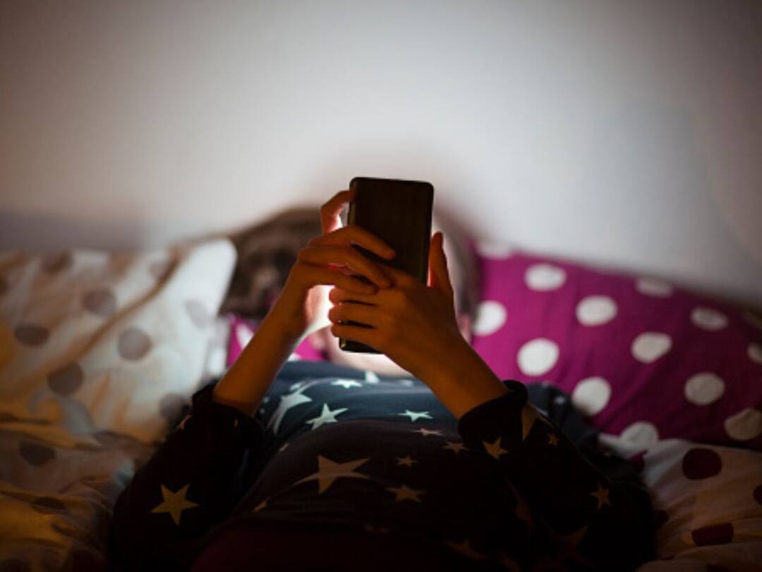 Social Media Platforms Should Have A Minimum Age Limit Of 21 For Users, Karnataka HC Suggests Social Media Platforms Should Have A Minimum Age Limit Of 21 For Users Karnataka High Court Suggests Twitter X Social Media Platforms Should Have A Minimum Age Limit Of 21 For Users, Karnataka HC Suggests