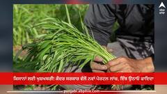Kisan Rin Portal: ਕਿਸਾਨਾਂ ਲਈ ਖੁਸ਼ਖਬਰੀ! ਕੇਂਦਰ ਸਰਕਾਰ ਵੱਲੋਂ ਨਵਾਂ ਪੋਰਟਲ ਲਾਂਚ, ਇੰਝ ਉਠਾਓ ਫਾਇਦਾ