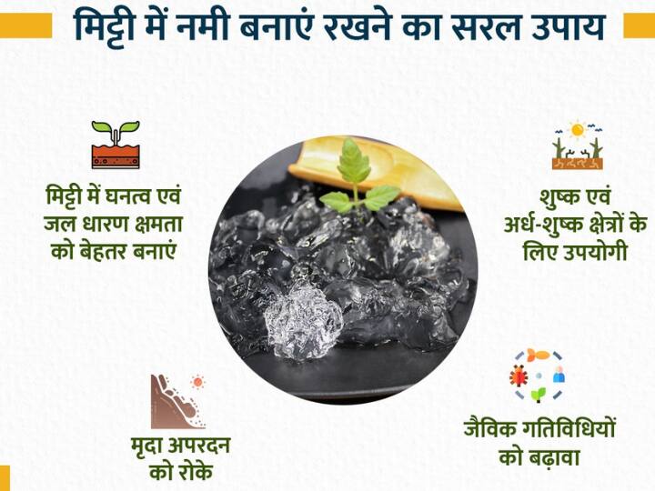 Farmers can use hydrogel to maintain soil moisture मिट्टी की नमी बनाए रखने के लिए करें हाइड्रोजेल का इस्तेमाल, मिलेंगे कई फायदे