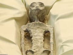 మెక్సికోలో ఏలియన్ మమ్మీస్, ల్యాబ్ రిపోర్ట్స్ ఏం చెప్పాయంటే?