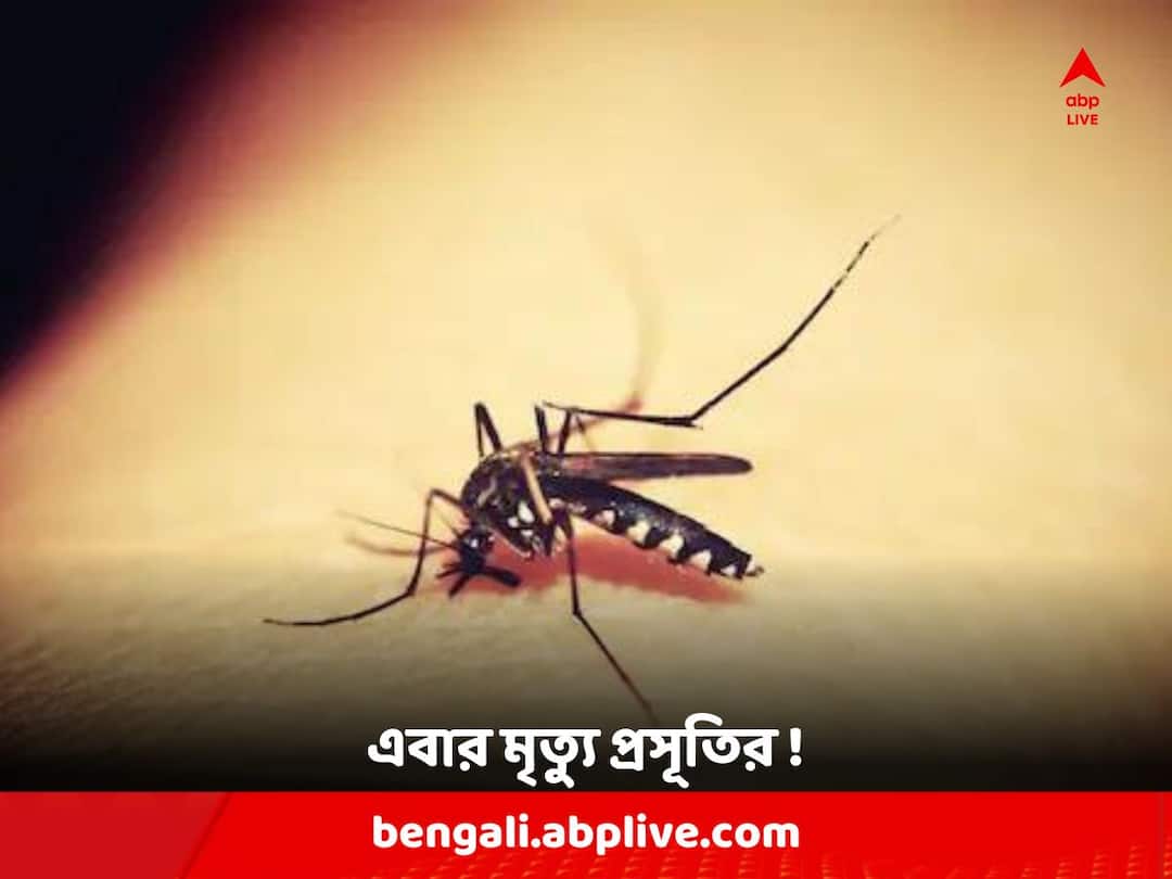 Kolkata News : Lady died of dengue within few days of giving birth to Child Dengue: পুত্রসন্তান প্রসবের ৩ দিনের মাথায় ধরা পড়ে ডেঙ্গি, এবার মৃত্যু বাঘাযতীনের তরুণীর !
