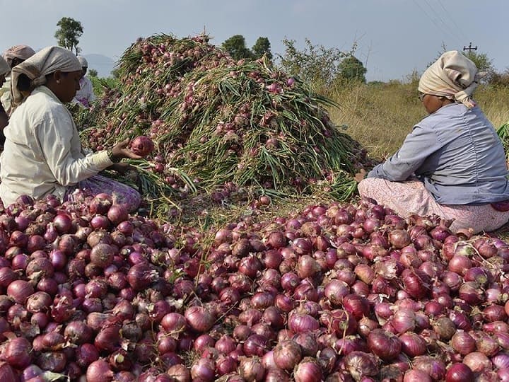 agriculture news Onion issue Important meeting in Delhi today however absence of major ministers from Maharashtra Onion : कांदाप्रश्नी दिल्लीत आज महत्वाची बैठक, मात्र, बड्या मंत्र्यांनी फिरवली पाठ;  सुळे म्हणाल्या सरकार असंवेदनशील