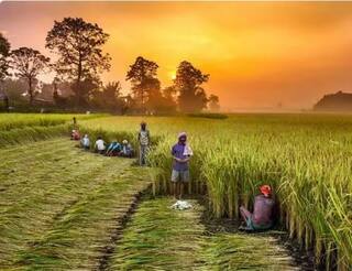 Schemes for Farmers: ਕਿਸਾਨਾਂ 'ਤੇ ਮੋਦੀ ਸਰਕਾਰ ਮਿਹਰਬਾਨ, ਤਿਉਹਾਰਾਂ ਤੋਂ ਪਹਿਲਾਂ ਤੋਹਫ਼ਿਆਂ ਦੀ ਵਰਖਾ, ਬੇਹੱਦ ਕੰਮ ਦੇ ਨੇ ਇਹ 4 ਐਲਾਨ