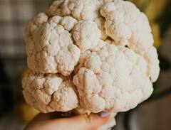 Cauliflower Cultivation: ਜੇਕਰ ਕਿਸਾਨ ਭਰਾ ਕਮਾਉਣਾ ਚਾਹੁੰਦੇ ਚੰਗਾ ਪੈਸਾ, ਤਾਂ ਇਦਾਂ ਕਰੋ ਗੋਭੀ ਦੀ ਖੇਤੀ, ਹੋਵੇਗਾ ਫਾਇਦਾ