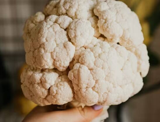 ਭਾਰਤ ਵਿੱਚ ਬਾਗਬਾਨੀ ਫਸਲਾਂ ਦਾ ਉਤਪਾਦਨ ਵੱਡੇ ਪੱਧਰ 'ਤੇ ਹੁੰਦਾ ਹੈ। ਜਿਸ ਦੀ ਕਿਸਾਨਾਂ ਨੂੰ ਚੰਗੀ ਕੀਮਤ ਵੀ ਮਿਲਦੀ ਹੈ। ਕਿਸਾਨ ਭਰਾ ਆਪਣੇ ਖੇਤਾਂ ਵਿੱਚ ਗੋਭੀ ਦੀ ਕਾਸ਼ਤ ਕਰਕੇ ਭਾਰੀ ਮੁਨਾਫ਼ਾ ਕਮਾ ਸਕਦੇ ਹਨ। ਕਿਸਾਨ ਜੈਵਿਕ ਫੁੱਲ ਗੋਭੀ ਦੀ ਕਾਸ਼ਤ ਤੋਂ ਵੀ ਚੰਗਾ ਮੁਨਾਫਾ ਕਮਾ ਸਕਦੇ ਹਨ।