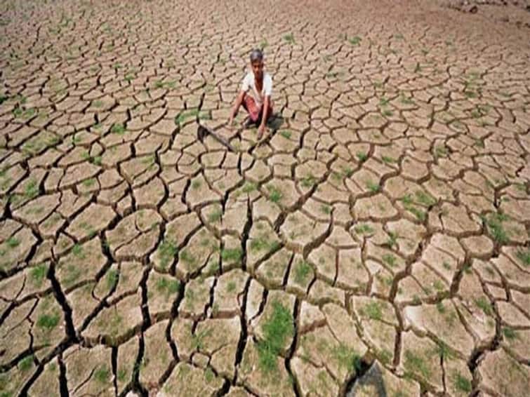 Relief to farmers in drought affected areas moratorium for crop loan recovery maharashtra detail marathi news मोठी बातमी! दुष्काळग्रस्त भागातील शेतकऱ्यांना दिलासा, पीक कर्ज वसुलीसाठी दिली स्थगिती