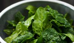 Spinach For Diabetes : पालक मधुमेहाच्या रुग्णांकरता आहे महत्वाचा , जाणून घ्या या भाजीचे असंख्य फायदे