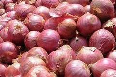 Onion : नाशिकमध्ये कांद्याचे लिलाव बंद, पणन मंत्र्यांनी दिले कारवाईचे आदेश