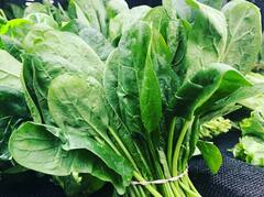 Spinach For Diabetes : पालक मधुमेहाच्या रुग्णांकरता आहे महत्वाचा , जाणून घ्या या भाजीचे असंख्य फायदे