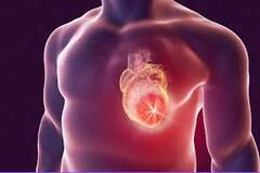 Cardiac Arrest: ਜਿੰਮ 'ਚ ਵਰਕਆਊਟ ਕਰਦੇ ਸਮੇਂ ਕਿਉਂ ਹੋ ਜਾਂਦੀ ਹੈ ਮੌਤ, ਜਾਣੋ ਕਾਰਨ ਅਤੇ ਰੋਕਥਾਮ ਲਈ ਸੁਝਾਅ