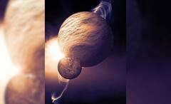 Science News: একই সঙ্গে জন্ম, সাদৃশ্যও প্রচুর, ‘যমজ বোন’ বলে আজ চেনাই দায় পৃথিবী ও শুক্রকে, নেপথ্যে সূর্য!