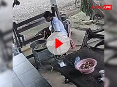 खाना बनाने में बिज़ी थी महिला, पीछे से जहरीले सांप ने आकर बोल दिया हमला, इंटरनेट पर वायरल हुआ खौफनाक VIDEO