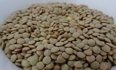 Health Tips: ছুঁতে পারবে না রোগ, চাঙ্গা থাকবে শরীর, ডায়েটে অবশ্যই রাখুন ডাল