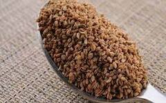 Ajwain Water: সকালে উঠেই জোয়ান ভেজানো জল! হাতেনাতে উপকার