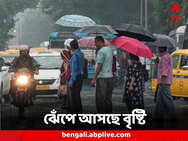 Heavy rain forecast for next 2 to 3 hours, fishermen banned from going to sea West Bengal Weather Update: আগামী ২ থেকে ৩ ঘণ্টা এই জেলাগুলিতে ভারী বৃষ্টির পূর্বাভাস, মৎস্যজীবীদের সমুদ্রে যাওয়ায় নিষেধাজ্ঞা
