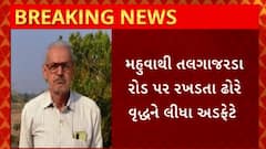 Bhavnagar : ભાવનગરમાં રખડતા ઢોરે વધુ એક નાગરિકનો લીધો ભોગ