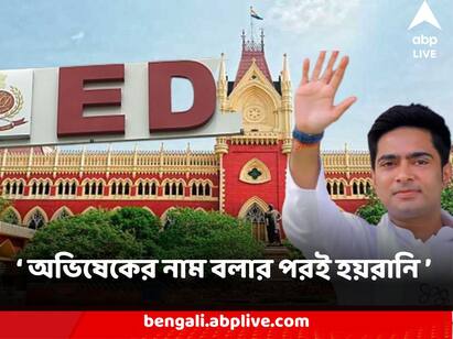 Calcutta High Court Enforcement Directorate Claimed they are being harassed after taking Abhishek Banerjee name State defended Abhishek Banerjee: অভিষেক বন্দ্যোপাধ্য়ায় লিপস অ্যান্ড বাউন্ডসের সিইও আছেন জানানোর পর থেকেই হয়রানি শুরু আদালতে বিস্ফোরক ইডি