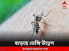 পুজোর মুখে ভয় ধরাচ্ছে ডেঙ্গি, শহরে আট দিনে মৃত ৫