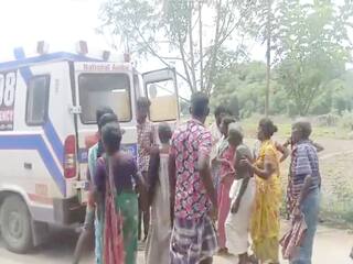 மயிலாடுதுறை மாவட்டத்தில் தொடரும் கதண்டு வண்டு தாக்குதல் - பொதுமக்கள் பீதி
