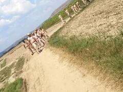 राजस्थान के डीग में पुलिस और गौ तस्करों में मुठभेड़, फायरिंग कर जंगल के रास्ते हुए फरार