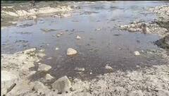 उजनीतून दोन दिवसापूर्वी सोडलेल्या पाण्याचा वेग मंदावलाय, सोलापूरपर्यंत पाणी पोहोचायला लागणार  तब्बल 10 दिवस