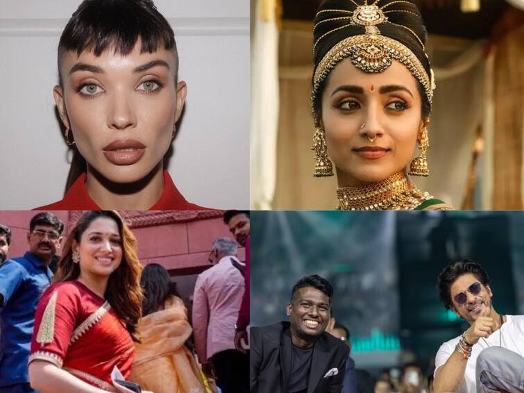 Entertainment Headlines Today September 21 Tamil Cinema News Amy Jackson Trisha Tamannaah Bhatia Allu Arjun Entertainment Headlines Sep 21: திருமண வதந்திக்கு த்ரிஷா முற்றுப்புள்ளி... ட்ரெண்டிங்கில் ஏமி ஜாக்சன், தமன்னா... இன்றைய சினிமா செய்திகள்!