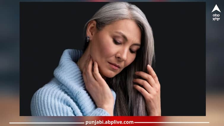 White Hair Treatment: White hair begins to appear in youth! Not the color but these natural methods will turn black again White Hair Treatment: ਜਵਾਨੀ 'ਚ ਹੀ ਹੋਣ ਲੱਗੇ ਚਿੱਟੇ ਵਾਲ! ਰੰਗ ਨਹੀਂ ਬਲਕਿ ਇਨ੍ਹਾਂ ਕੁਦਰਤੀ ਤਰੀਕਿਆਂ ਨਾਲ ਮੁੜ ਹੋ ਜਾਣਗੇ ਕਾਲੇ