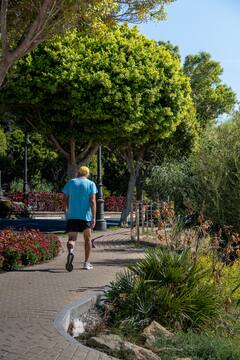 Morning Walking: ஃபிட்னஸ் உங்க சாய்ஸா?  காலை நடைபயிற்சி செய்வதில் இத்தனை நன்மைகளா?