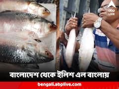 বাংলাদেশ থেকে ৪০ মেট্রিক টন ইলিশ এল বাংলায়, পুজোর আগে আসছে প্রায় ৪ হাজার টন রুপোলি শস্য