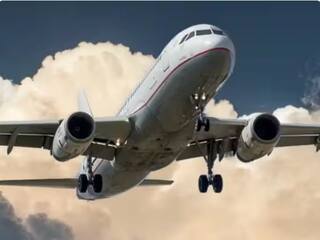 ਲੈਂਡਿੰਗ ਤੋਂ ਪਹਿਲਾਂ ਹੀ ਫਲਾਈਟ ਦਾ ਗੇਟ ਖੋਲ੍ਹਣ ਲੱਗਾ ਸ਼ਖਸ, ਰੁਕਣ 'ਤੇ Cabin Crew ਨਾਲ ਕੀਤੀ ਬਦਸਲੂਕੀ, ਯਾਤਰੀਆਂ ਨੇ ਕੀਤੀ ਕੁੱਟਮਾਰ