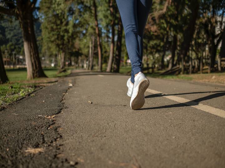 Morning Walking: லையில் நடைப்பயிற்சி செய்வதால் அந்த நாள் முழுவதும் ஆரோக்கியமாகவும், மனதுக்கு இதமாகவும் இருக்கும் என்கிறார்கள் உடற்பயிற்சியாளர்களும், மருத்துவர்களும். 