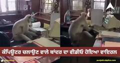 Viral Video: ਉਮੀਦਵਾਰਾਂ ਨੂੰ ਹੁਣ ਨਹੀਂ ਕਰਨਾ ਪਵੇਗਾ ਇੰਤਜ਼ਾਰ! 'ਬਾਂਦਰ ਮਾਮਾ' ਦੇ ਕੰਮ ਕਰਨ ਦਾ ਵੀਡੀਓ ਹੋਇਆ ਵਾਇਰਲ