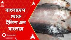 বাঙালির কাছে সুখবর, বাংলাদেশ থেকে ৪০ মেট্রিক টন ইলিশ এল বাংলায়, পুুজোর আগে আসবে আরও ইলিশ