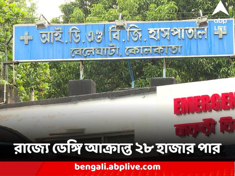 Dengue Scare in West Bengal Private Count says 36 dead more than 28 thousand affected by dengue in West Bengal Dengue Scare : সরকারি মতে ৩, বেসরকারিতে ডেঙ্গিতে মৃত্যু ৩৬ জনের, রাজ্যে এখনও আক্রান্ত ২৮ হাজার ৬৭ জন