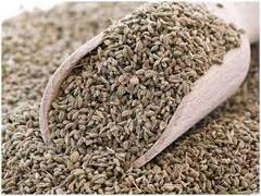 Ajwain Water: সকালে উঠেই জোয়ান ভেজানো জল! হাতেনাতে উপকার