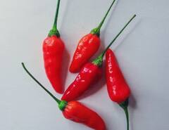 Red Chilli Farming: ਜੇਕਰ ਘੱਟ ਪੈਸੇ ਲਾ ਕੇ ਕਰਨਾ ਚਾਹੁੰਦੇ ਵੱਧ ਕਮਾਈ, ਤਾਂ ਇਦਾਂ ਕਰੋ ਲਾਲ ਮਿਰਚ ਦੀ ਖੇਤੀ, ਹੋਵੇਗਾ ਮੁਨਾਫਾ